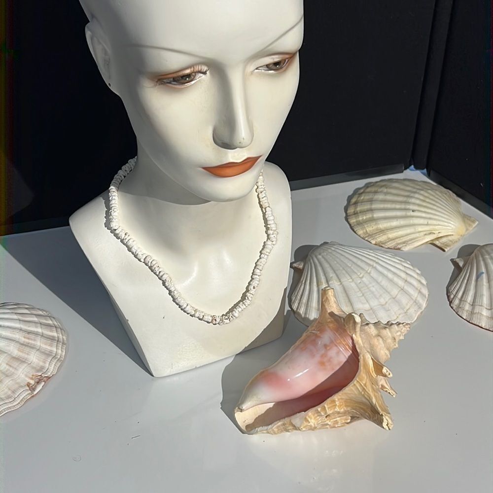 Bundle Sale 3 for $15 | Sea Shell Necklace